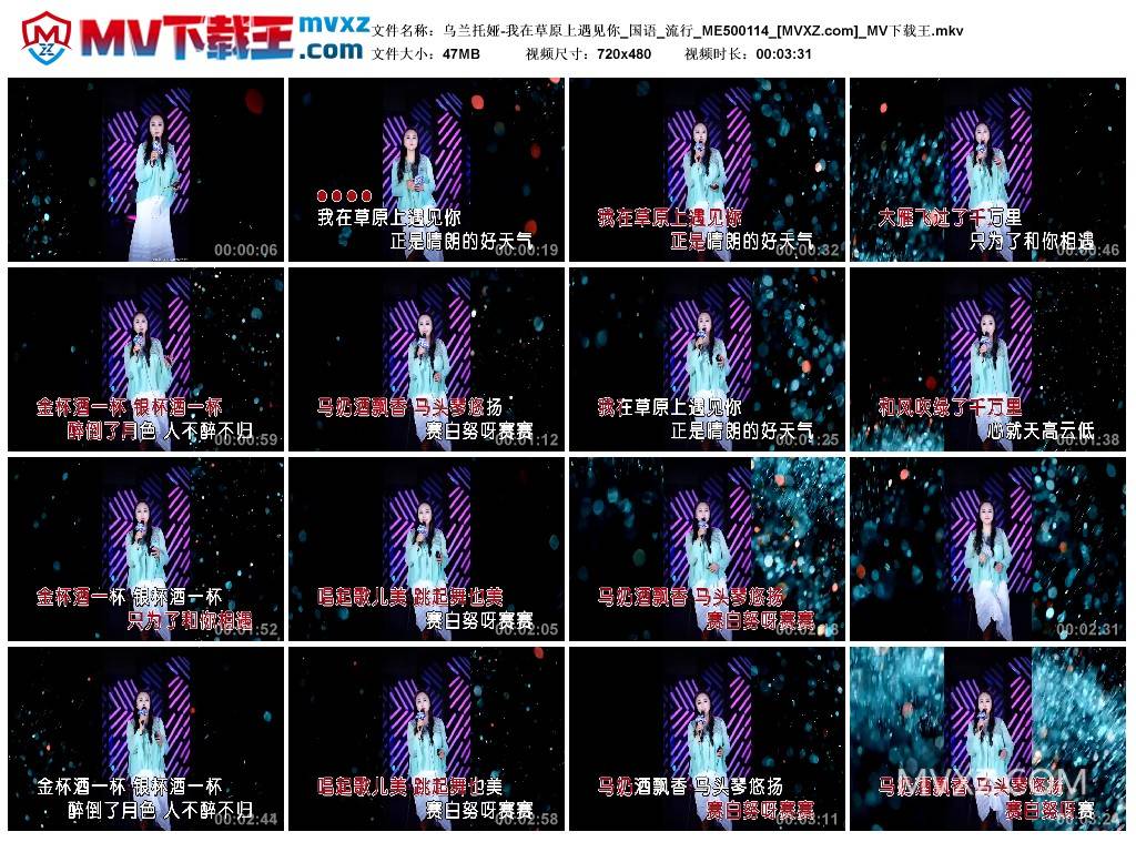 乌兰托娅-我在草原上遇见你_国语_流行_ME500114